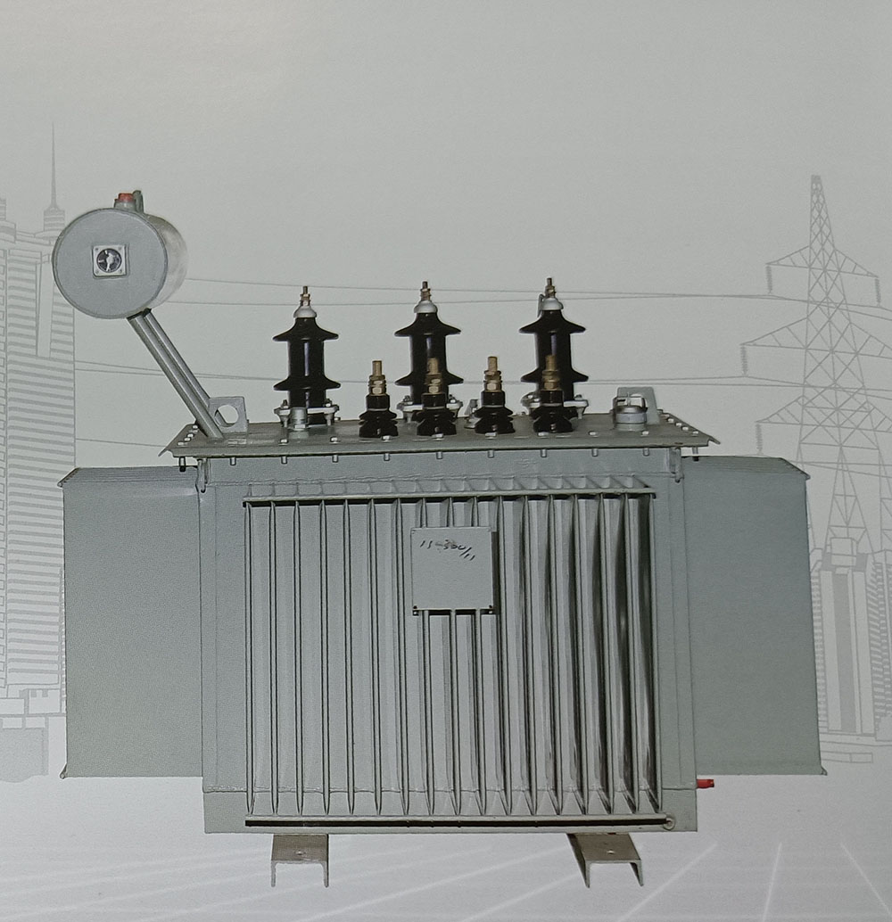 S10 – 11KV class distribution transformer